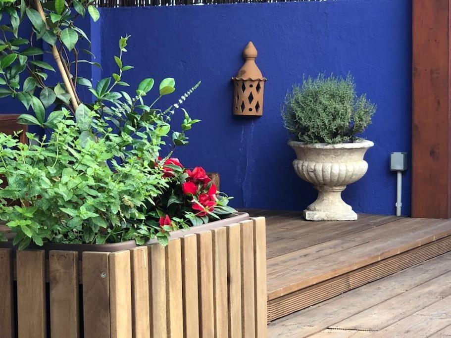 Charming Terrace Flat Center And Trendy Location Apartment *