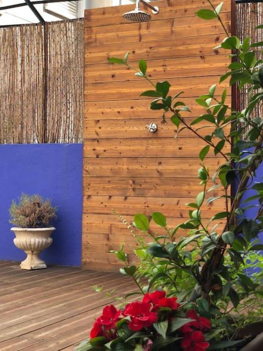 Charming Terrace Flat Center And Trendy Location Apartment