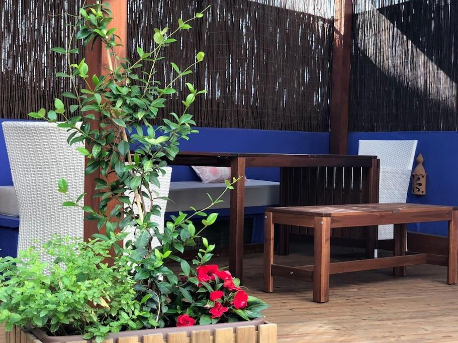 Apartment Charming Terrace Flat Center And Trendy Location *