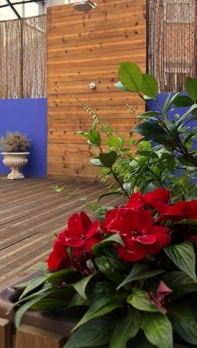 Apartment Charming Terrace Flat Center And Trendy Location *